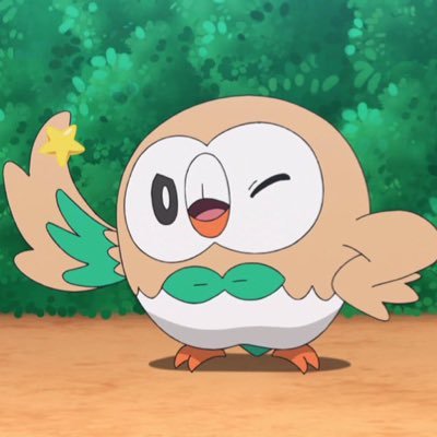 Tweets about Rowlet, #722 in the Pokédex 🍃