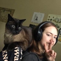 emmers 🦇🍂 (@_emmmmers_) 's Twitter Profile