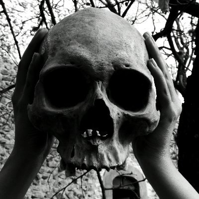 disquebrendis's profile picture. 