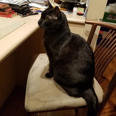 jlkra1980's profile picture. 