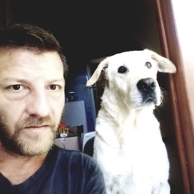 JuanLui12498032's profile picture. 