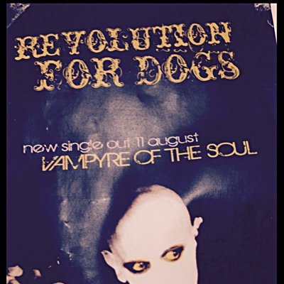 RevolutionforD2's profile picture. Dublin Band