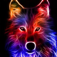 Galli (@0xgalli) 's Twitter Profile Photo Galli (@0xgalli) 's Twitter Profile Photo