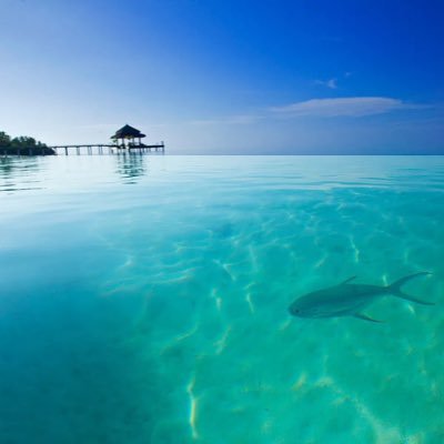 JemimaTab's profile picture. 