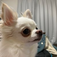 アッキー (@onhinata46) 's Twitter Profile