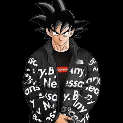 dripped out goku
only sayians can call me kakarot
dm are open