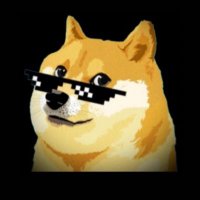 XRPdogegod(@XRPdogegod) 's Twitter Profile Photo