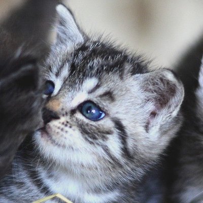 Nailuj_KIf's profile picture. Ethereum & Solana enjoyer. Love to build stuff.