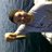 Mattsauve123's profile image
