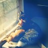 JudyPurvis15's profile picture.