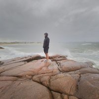 David K. (@kodaveal) 's Twitter Profile