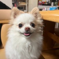 てつや (@tetsuya__8) 's Twitter Profile