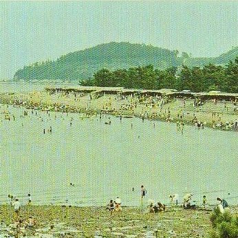 昭和の時代の海岸寺海水浴場の写真、情報を探して記録したいと思っています。 懐かしい写真がありましたら、是非ご投稿下さい。
ちなみに海に向かって右端にあった海の家「ふみや」を経営していたのは私の祖母です。知っている方がいらっしゃいましたら、声を掛けて頂けると嬉しいです。よろしくお願いします。