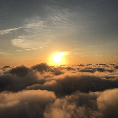 airkei1989's profile picture. 投資情報収集＆ぼやき垢。#FX