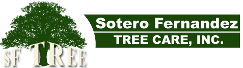 sftreecare's profile picture. 