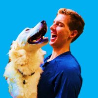 ellis (@driscollellis) 's Twitter Profile