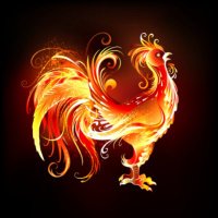 Deren Tarik (@drataric) 's Twitter Profile
