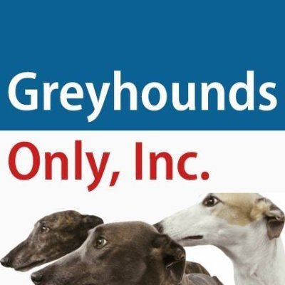 Greyhounds Only, Inc. is a 501(c)(3) not-for-profit group based in Northern Illinois that facilitates the adoption of retired racing greyhounds.