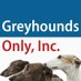 Greyhounds Only, Inc. (@greyhoundsonly) Twitter profile photo Greyhounds Only, Inc. (@greyhoundsonly) Twitter profile photo