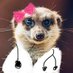 Baila suricata (@emmadiazmarr) Twitter profile photo Baila suricata (@emmadiazmarr) Twitter profile photo