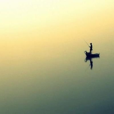 my123v's profile picture. 