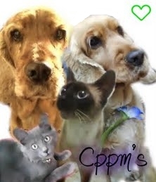 Cppms's profile picture.