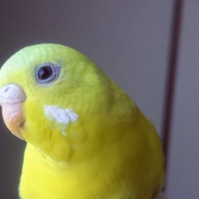 3N9uJrorrkaKoWa Profile Picture