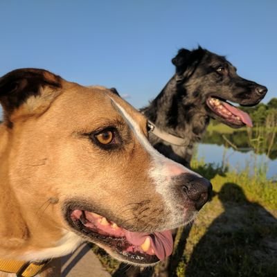 SethGillen's profile picture. 