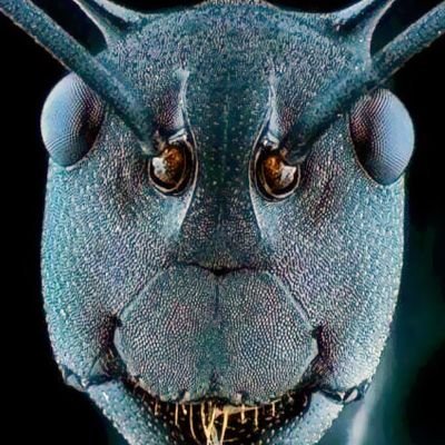 VishnuRahul11's profile picture. 