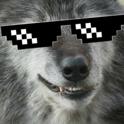 MOVEDさんのプロフィール画像