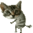 http://t.co/QzIq4lXbKn