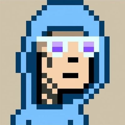 cryptoNFT221's profile picture. DSNR PUNKS