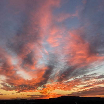 jan_lochman's profile picture. 