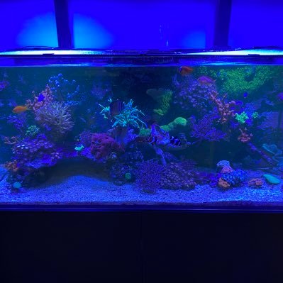 PieterGrund's profile picture. 