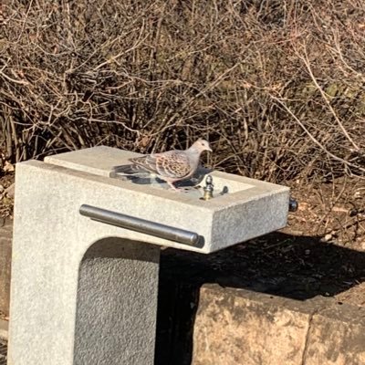 missmsuniverse's profile picture. ユニバースなミスを犯しましょう