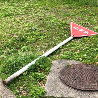 ops2081's profile picture. 阪大 日本文学 2ヤドン(目標)