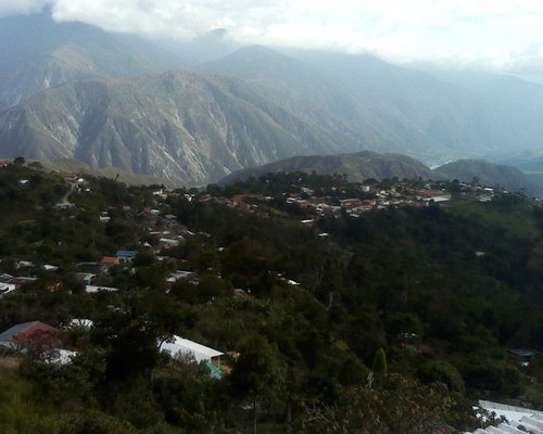 Davidjesus24D's profile picture. 