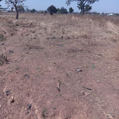 stanisculus's profile picture. 