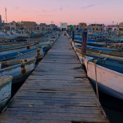 حاصل على شهادة الماستر في الإعلام.. ومهتم بشأن بلدي🇲🇷