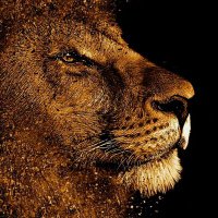 @kadriye-azad1 (@azadkadriye1) 's Twitter Profile