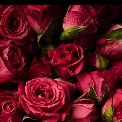 ErtanTa54232752's profile picture. Mutlu etmek