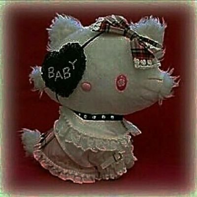 meowgi0w0's profile picture. 