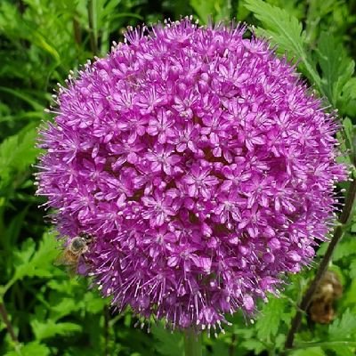 hyeonju45423461's profile picture. 