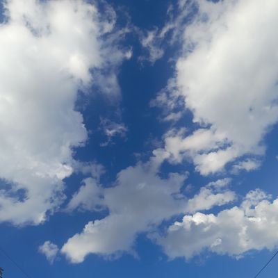 ZandileZay's profile picture.