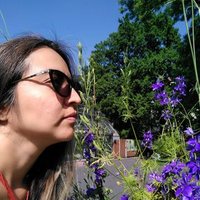 ZULMA LORENA DURAN H (@zulmalorenadur1) 's Twitter Profile