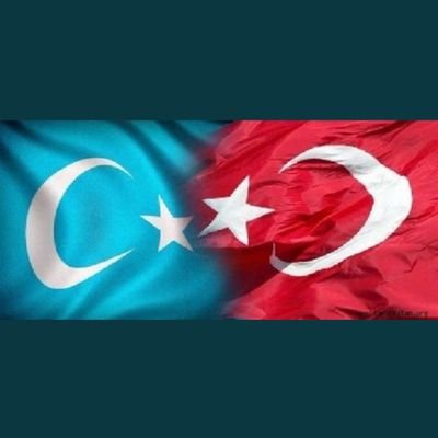 gediklipasa's profile picture. 