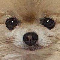 π (@_jainess) 's Twitter Profile