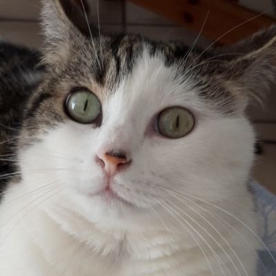 QuanantH's profile picture. 