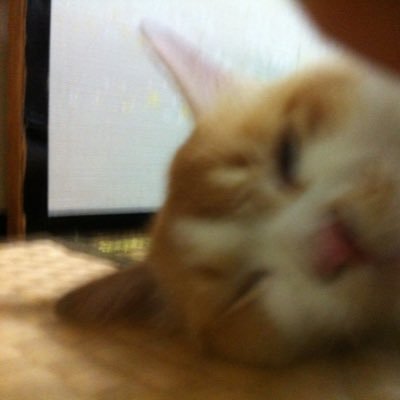 yesmanjohnson's profile picture. 夢破れて山河あり