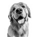 Gus the Golden (@gusthegoldenn) Twitter profile photo Gus the Golden (@gusthegoldenn) Twitter profile photo